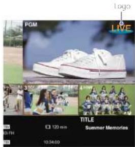 PGM LIVE TITLE Summer Memories 120 miles 10:34.00