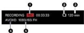 SONY MCX-500 - [RECORDING] information - 1