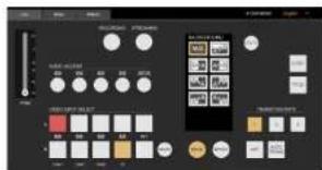Screenshot of a software interface with labeled controls and buttons, showing various color and pattern options.
