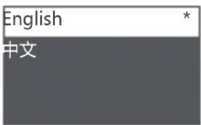 Moza AirCross 2 - Language Switch - 4