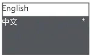 Moza AirCross 2 - Language Switch - 3