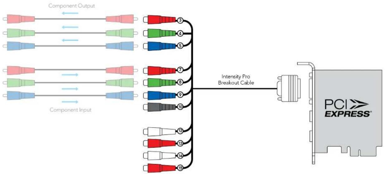 Blackmagic Design Intensity Pro - Intensity Pro: Component Analog Video Connections - 1