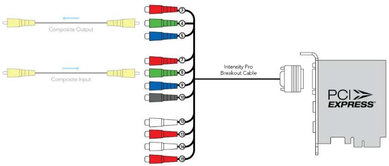 Blackmagic Design Intensity Pro - Intensity Pro: Composite Analog Video Connections - 1