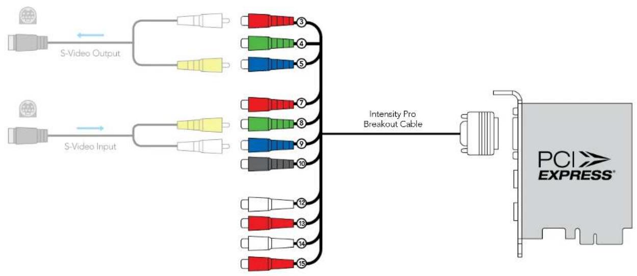 Blackmagic Design Intensity Pro - Intensity Pro: S-Video Analog Connections - 1