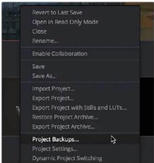 Revert to Last Save Open In Read Only Mode Close Rename... Enable Collaboration Save Save As... Import Project... Export Project... Export Project with Stills and LUTs... Restore Project Archive... Export Project Archive... Project Backups... Project Settings... Dynamic Project Switching