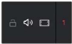 Blackmagic Design DaVinci Resolve - Track Header Controls - 1
