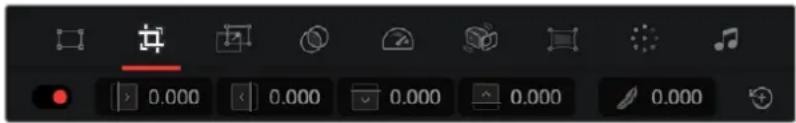 Software toolbar with icons and numeric input fields, likely from a graphics or animation software interface