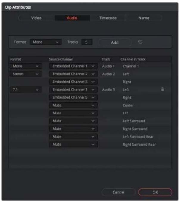 Clip Attributes Video Audio Timecode Name Format Mono Tracks 5 Add Format Source Channel Track Channel in Track Mono Embedded Channel 1 Audio 1 Channel 1 Stereo Embedded Channel 2 Audio 2 Left Embedded Channel 3 Right 7.1 Embedded Channel 1 Audio 3 Left Embedded Channel 5 Right Mute Center Mute LFP Mute Left Surround Mute Right Surround Mute Left Surround Rear Mute Right Surround Rear Cancel OK