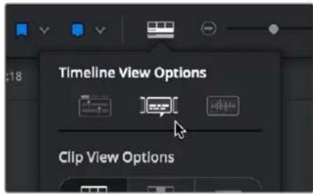 Timeline View Options Clip View Options