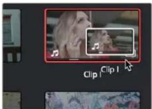Clip | Clip 1