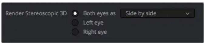 Render Stereoscopic 3D Both eyes as Side by side Left eye Right eye