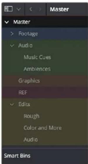 Master > Footage ✓ Audio Music Cues Ambiences Graphics REF ✓ Edis Rough Color and More Audio Smart Bins