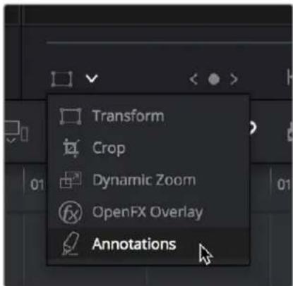 Transform Crop Dynamic Zoom OpenFX Overlay Annotations