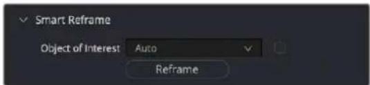 Smart Reframe Object of Interest Auto Reframe