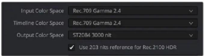 Input Color Space Rec.709 Gamma 2.4 Timeline Color Space Rec.709 Gamma 2.4 Output Color Space ST2084 3000 nit ✓ Use 203 nits reference for Rec.2100 HDR