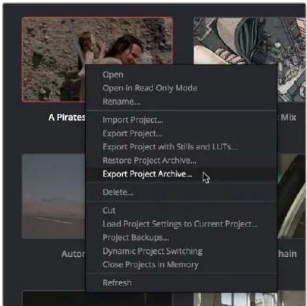Open Open in Read Only Mode Rename... Import Project... Export Project... Export Project with Stills and LUTs... Restore Project Archive... Export Project Archive... Delete... Cut Load Project Settings to Current Project... Project Backups... Dynamic Project Switching Close Projects in Memory Refresh