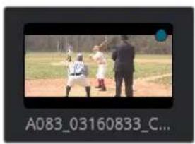 Blackmagic Design DaVinci Resolve - Removing clip colors: - 1