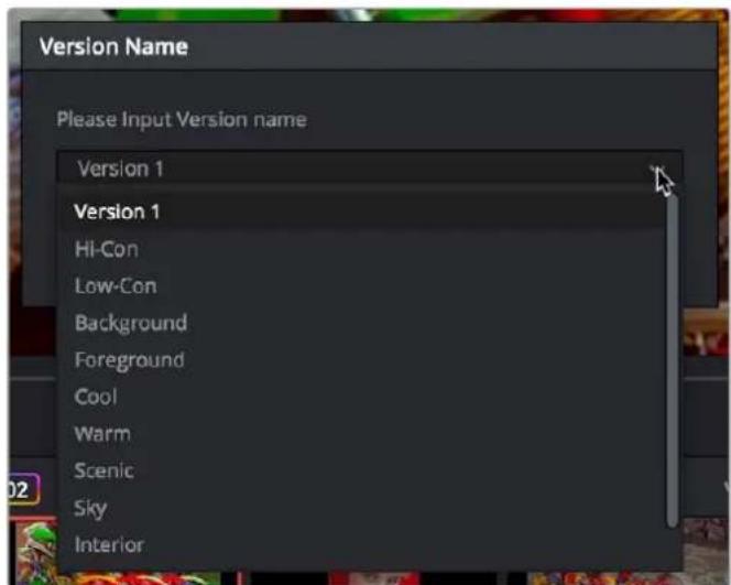 Version Name Please Input Version name Version 1 Version 1 Hi-Con Low-Con Background Foreground Cool Warm Scenic Sky Interior