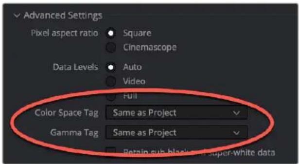 Advanced Settings Pixel aspect ratio Square Cinemascope Data Levels Auto Video Full Color Space Tag Same as Project Gamma Tag Same as Project Retain sub-black or super-white data