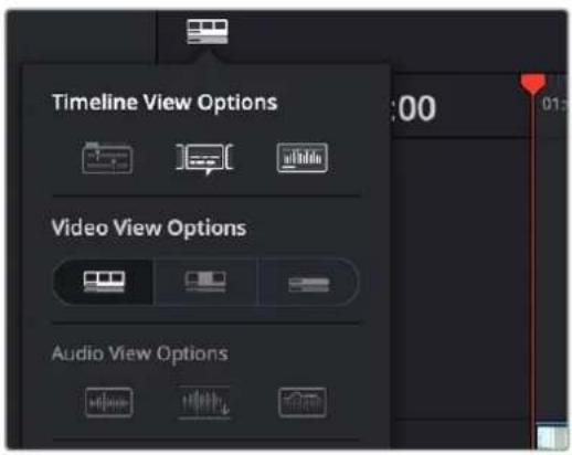Timeline View Options 00 Video View Options Audio View Options