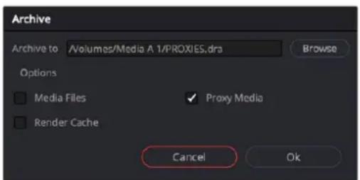 Archive Archive to Volumes/Media A 1/PROXIES.dra Browse Options Media Files Proxy Media Render Cache Cancel Ok