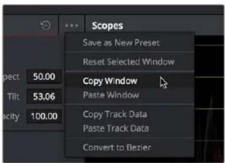 Scopes Save as New Preset Reset Selected Window Copy Window Paste Window Copy Track Data Paste Track Data Convert to Bezier