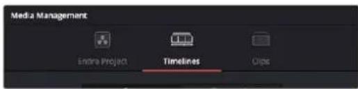 Media Management Endo Project Timelines Clips