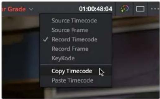 01:00:48:04 Source Timecode Source Frame ✓ Record Timecode Record Frame KeyCode Copy Timecode Paste Timecode