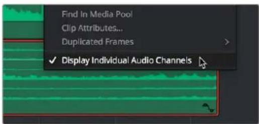 Find In Media Pool Clip Attributes... Duplicated Frames ✓ Display Individual Audio Channels