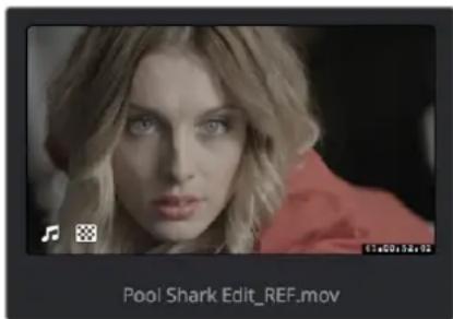 Pool Shark Edit_REF.mov