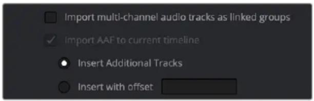 Import multi-channel audio tracks as linked groups ✓ Import AAF to current timeline Insert Additional Tracks Insert with offset
