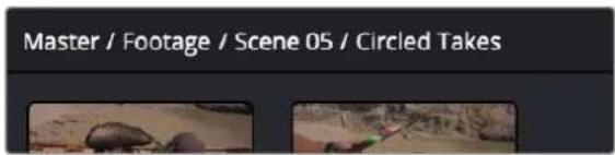 Master / Footage / Scene 05 / Circled Takes