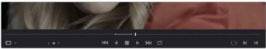Blackmagic Design DaVinci Resolve - Viewer Transport Controls - 1
