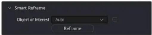 Smart Reframe Object of Interest Auto Reframe