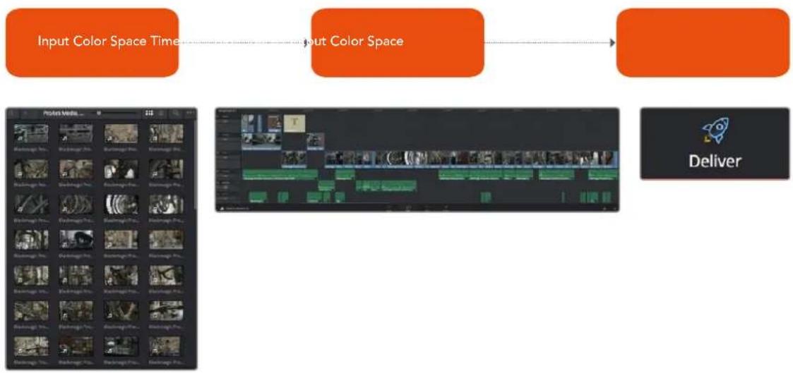 Blackmagic Design DaVinci Resolve - The Input, Timeline, and Output Color Space - 1
