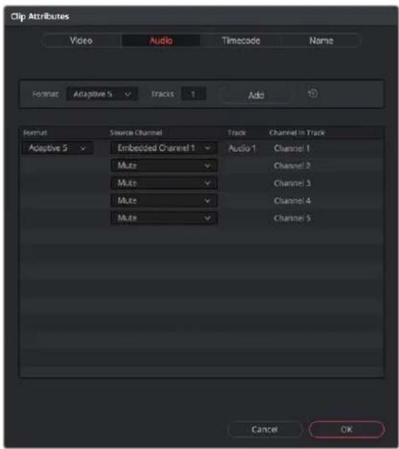 Clip Attributes Video Audio Timecode Name Format Adaptive 5 Tracks 1 Add Hemut Source Channel Track Channel in Track Adaptive 5 Embedded Channel 1 Audio 1 Channel 1 Mute Channel 2 Mute Channel 3 Mute Channel 4 Mute Channel 5 Cancel OK