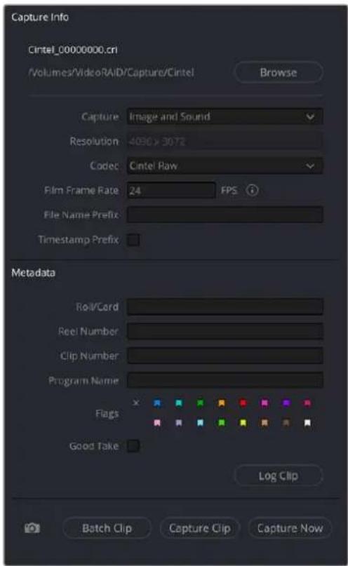 Capture Info Cintel_00000000.cri /Volumes/VideoRAID/Capture/Cintel Browse Capture Image and Sound Resolution 4096 > 3072 Codec Cintel Raw Film Frame Rate 24 FPS File Name Prefix Timestamp Prefix Metadata Roll/Card Reel Number Clip Number Program Name Flags Good Take Log Clip Batch Clip Capture Clip Capture Now