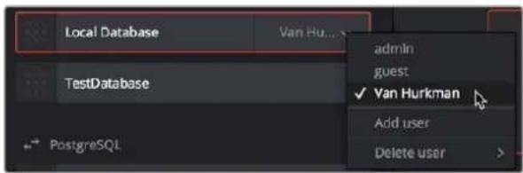 Local Database Van Hu... TestDatabase PostgreSQL admin guest ✓ Van Hurkman Add user Delete user