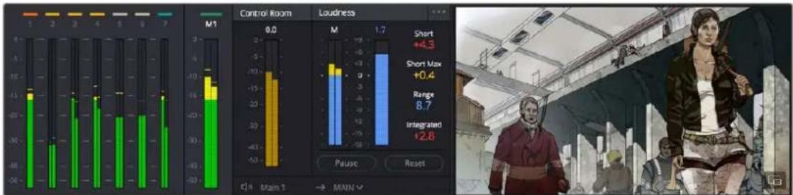 Blackmagic Design DaVinci Resolve - The Monitoring Panel - 1