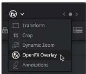 Transform Crop Dynamic Zoom OpenFX Overlay Annotations