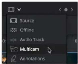 Source Offline Audio Track Multicam Annotations