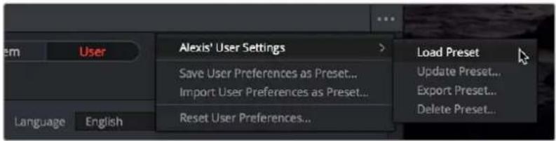 Alexis' User Settings Save User Preferences as Preset... Import User Preferences as Preset... Reset User Preferences...