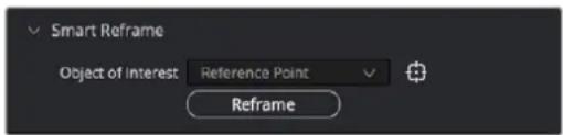 Smart Reframe Object of Interest Reference Point Reframe