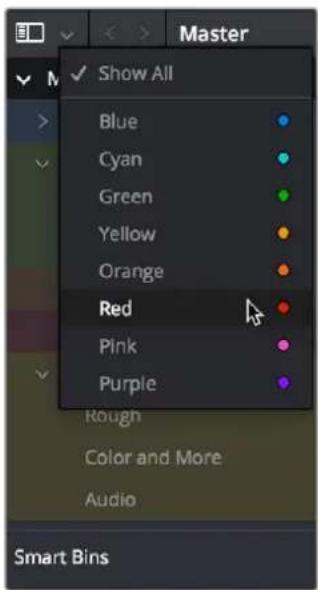 Master Show All Blue Cyan Green Yellow Orange Red Pink Purple Rough Color and More Audio Smart Bins