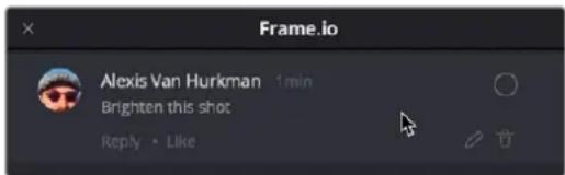Frame.io Alexis Van Hurkman 1min Brighten this shot Reply • Like
