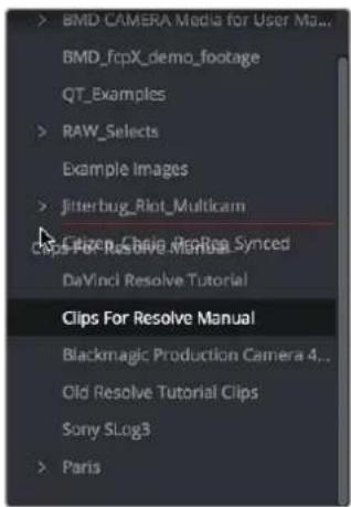 > BMD CAMERA Media for User Manage BMD_fcpX_demo_footage QT_Examples >> RAW_Selects Example Images >> Jitterbug_Riot_Multicam Clips For Resolve Manual DaVinci Resolve Tutorial Clips For Resolve Manual Blackmagic Production Camera 4... Old Resolve Tutorial Clips Sony SLog3 >> Paris