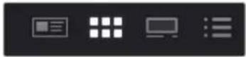 Blackmagic Design DaVinci Resolve - Media Pool Views - 1