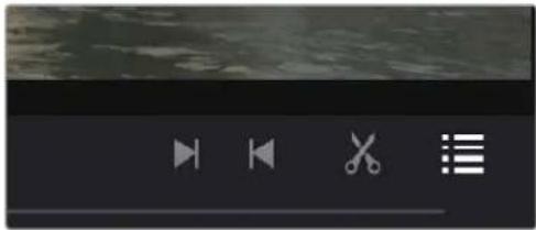 Screenshot of a media player control bar with playback, pause, delete, and list icons