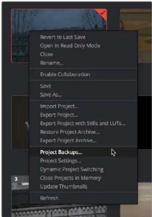 Revert to Last Save Open in Read Only Mode Close Rename... Enable Collaboration Save Save As... Import Project... Export Project... Export Project with Stills and LUTs... Restore Project Archive... Export Project Archive... Project Backups... Project Settings... Dynamic Project Switching Close Projects in Memory Update Thumbnails Refresh