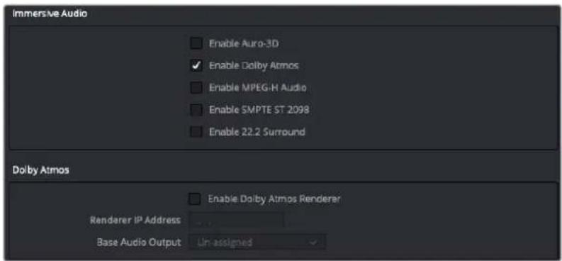 Immersive Audio Enable Auro-3D Enable Dolby Atmos Enable MPEG-H Audio Enable SMPTE ST 2098 Enable 22.2 Surround Dolby Atmos Enable Dolby Atmos Renderer Renderer IP Address Base Audio Output Un-assigned